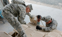 CLogic Defense - Capabilities